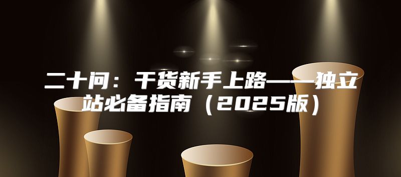 二十问：干货新手上路——独立站必备指南2025版