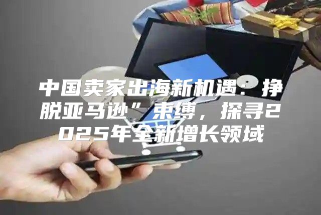 中国卖家出海新机遇：挣脱亚马逊”束缚，探寻2025年全新增长领域