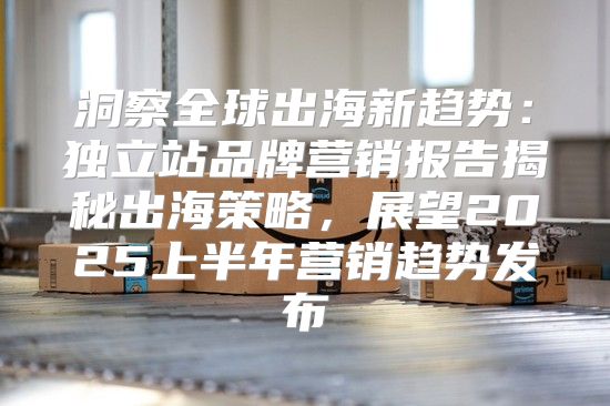 洞察全球出海新趋势：独立站品牌营销报告揭秘出海策略，展望2025上半年营销趋势发布