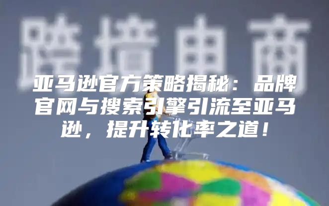 亚马逊官方策略揭秘：品牌官网与搜索引擎引流至亚马逊，提升转化率之道！
