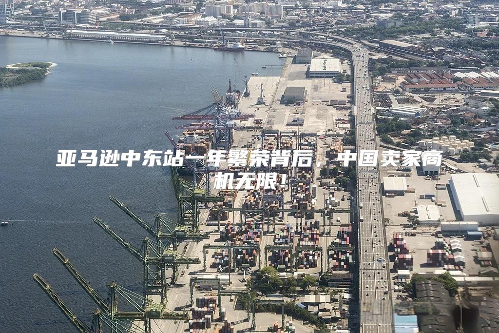 亚马逊中东站一年繁荣背后，中国卖家商机无限！