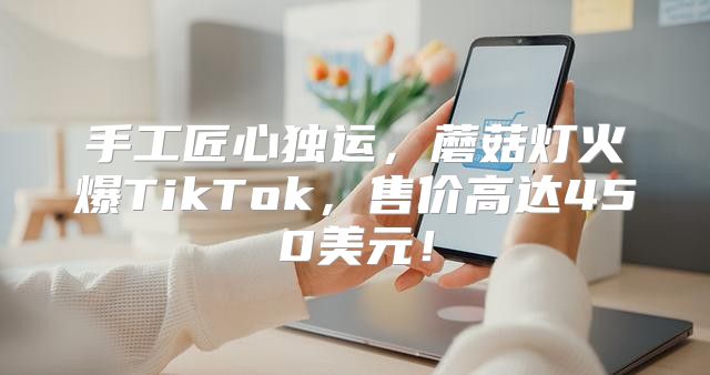 手工匠心独运，蘑菇灯火爆TikTok，售价高达450美元！