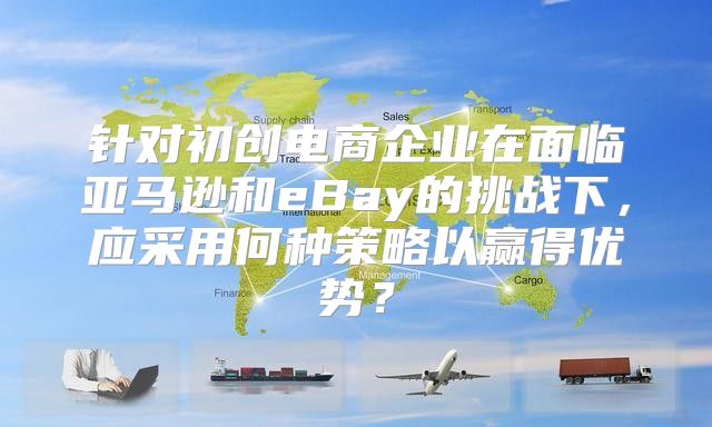 针对初创电商企业在面临亚马逊和eBay的挑战下，应采用何种策略以赢得优势？