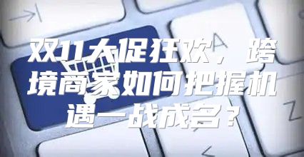 双11大促狂欢，跨境商家如何把握机遇一战成名？