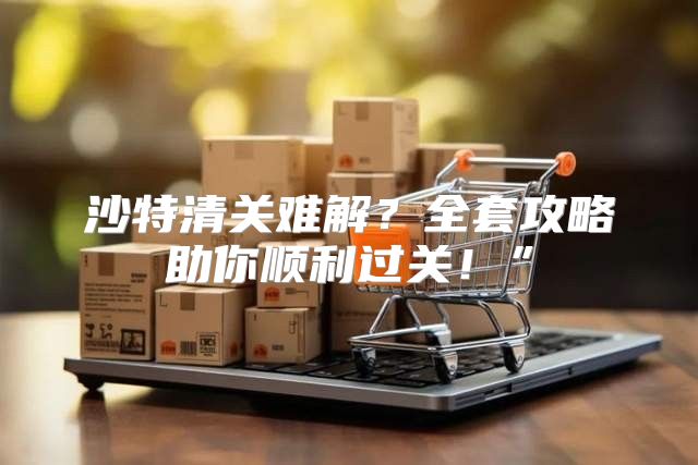 沙特清关难解？全套攻略助你顺利过关！”