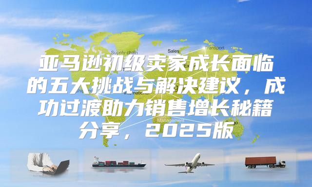 亚马逊初级卖家成长面临的五大挑战与解决建议，成功过渡助力销售增长秘籍分享，2025版