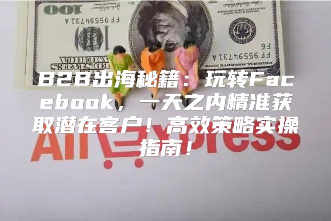 B2B出海秘籍：玩转Facebook，一天之内精准获取潜在客户！高效策略实操指南！