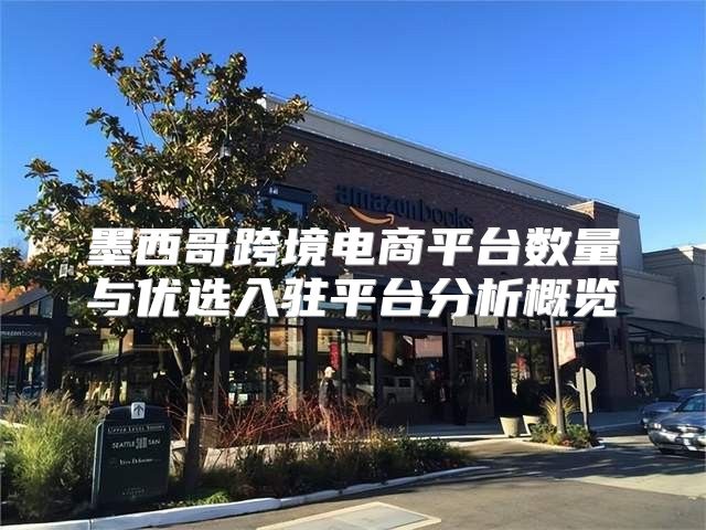 墨西哥跨境电商平台数量与优选入驻平台分析概览