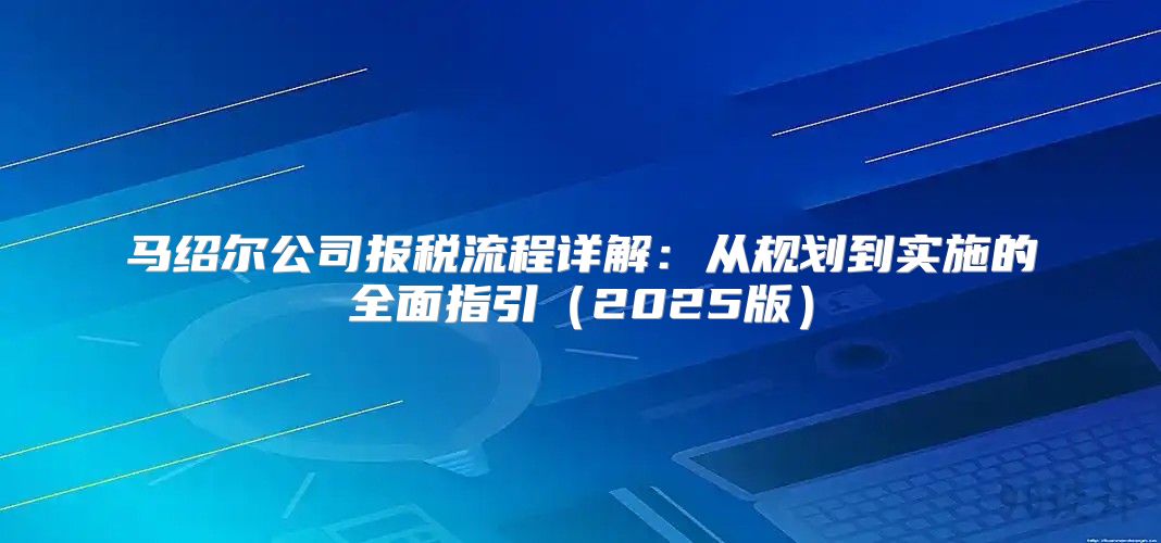 马绍尔公司报税流程详解：从规划到实施的全面指引2025版