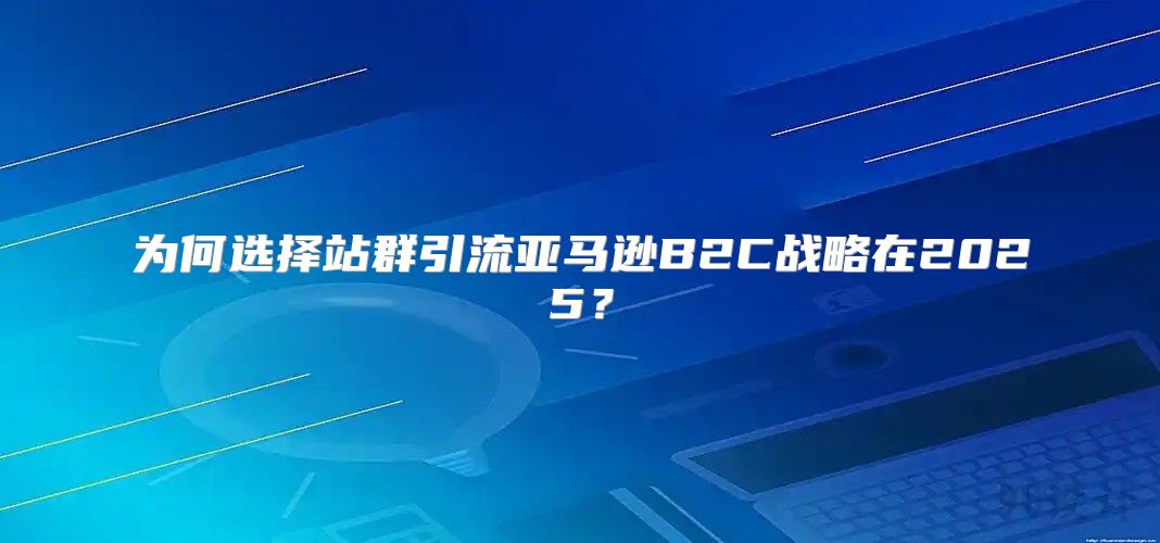 为何选择站群引流亚马逊B2C战略在2025？