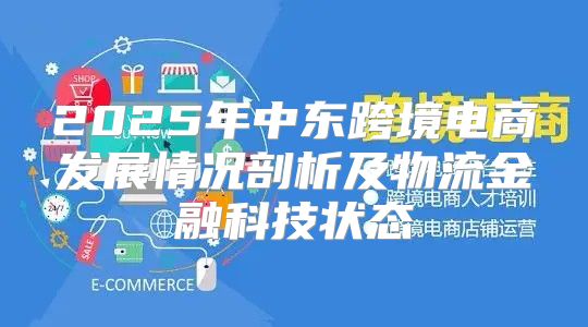 2025年中东跨境电商发展情况剖析及物流金融科技状态