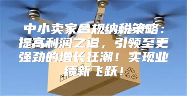 中小卖家合规纳税策略：提高利润之道，引领至更强劲的增长狂潮！实现业绩新飞跃！