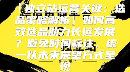 『独立站运营关键：选品策略解析』如何高效选品助力长远发展？避免时间标注，统一以未来展望方式呈现