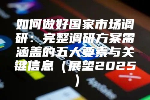 如何做好国家市场调研：完整调研方案需涵盖的五大要素与关键信息展望2025