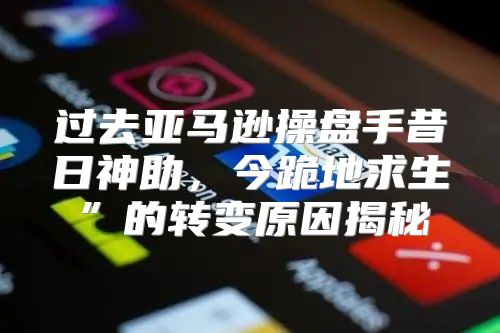 过去亚马逊操盘手昔日神助，今跪地求生”的转变原因揭秘