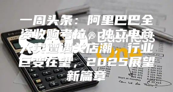 一周头条：阿里巴巴全资收购考拉，独立电商大卖遭遇关店潮，行业巨变在望，2025展望新篇章