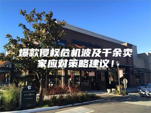 爆款侵权危机波及千余卖家应对策略建议！