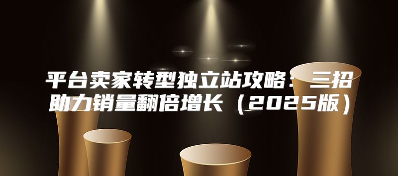 平台卖家转型独立站攻略：三招助力销量翻倍增长2025版