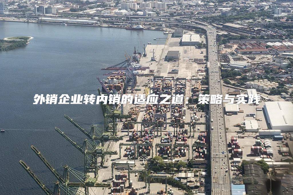 外销企业转内销的适应之道：策略与实践