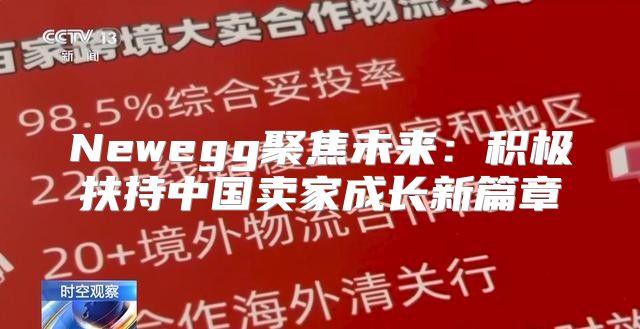 Newegg聚焦未来：积极扶持中国卖家成长新篇章