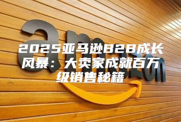 2025亚马逊B2B成长风暴：大卖家成就百万级销售秘籍