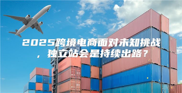 2025跨境电商面对未知挑战，独立站会是持续出路？