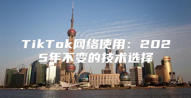 TikTok网络使用：2025年不变的技术选择