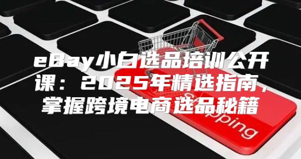 eBay小白选品培训公开课：2025年精选指南，掌握跨境电商选品秘籍