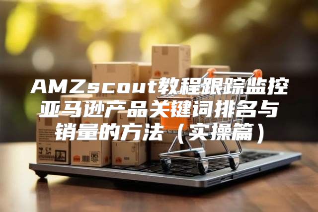 AMZscout教程跟踪监控亚马逊产品关键词排名与销量的方法实操篇