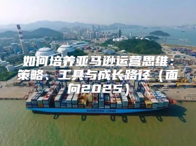 如何培养亚马逊运营思维：策略、工具与成长路径面向2025