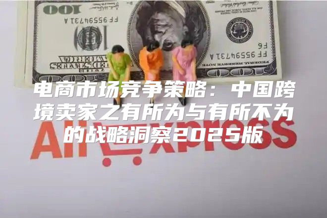 电商市场竞争策略：中国跨境卖家之有所为与有所不为的战略洞察2025版
