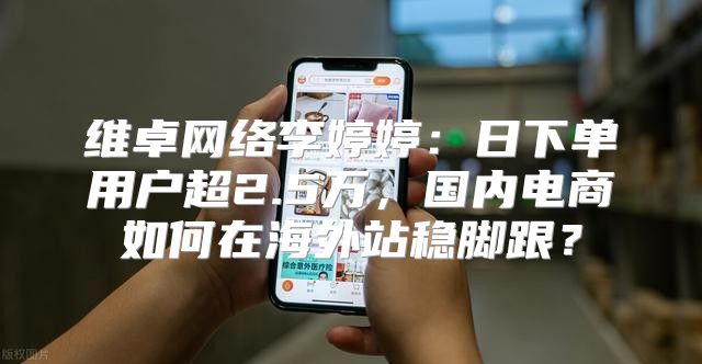 维卓网络李婷婷：日下单用户超2.5万，国内电商如何在海外站稳脚跟？