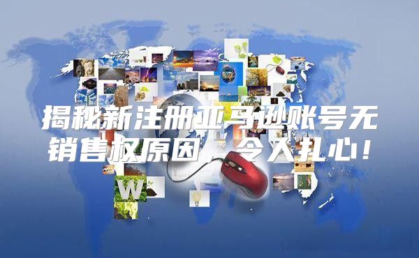 揭秘新注册亚马逊账号无销售权原因，令人扎心！