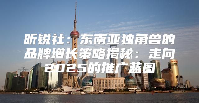 昕锐社：东南亚独角兽的品牌增长策略揭秘：走向2025的推广蓝图