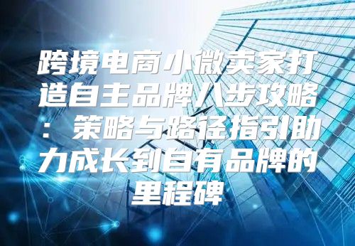 跨境电商小微卖家打造自主品牌八步攻略：策略与路径指引助力成长到自有品牌的里程碑