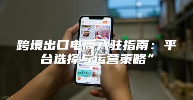 跨境出口电商入驻指南：平台选择与运营策略”