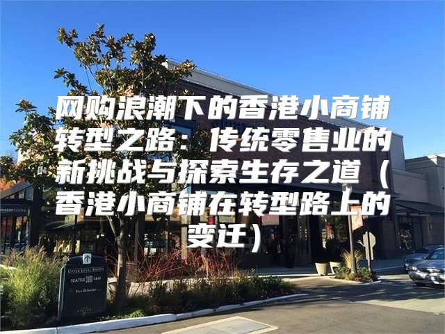 网购浪潮下的香港小商铺转型之路：传统零售业的新挑战与探索生存之道香港小商铺在转型路上的变迁