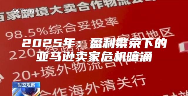 2025年：盈利繁荣下的亚马逊卖家危机暗涌