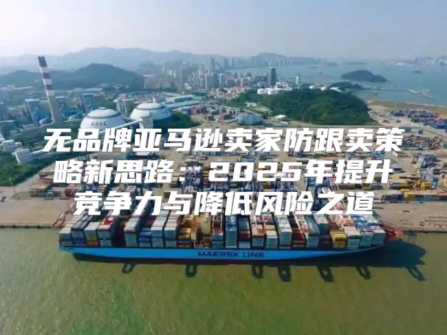 无品牌亚马逊卖家防跟卖策略新思路：2025年提升竞争力与降低风险之道