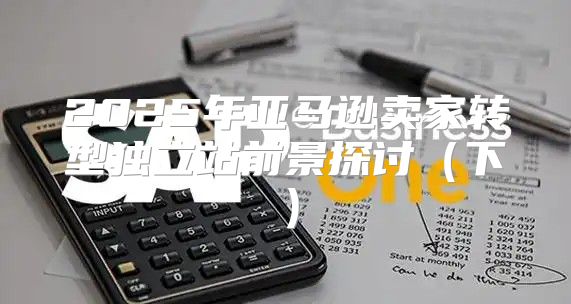 2025年亚马逊卖家转型独立站前景探讨下