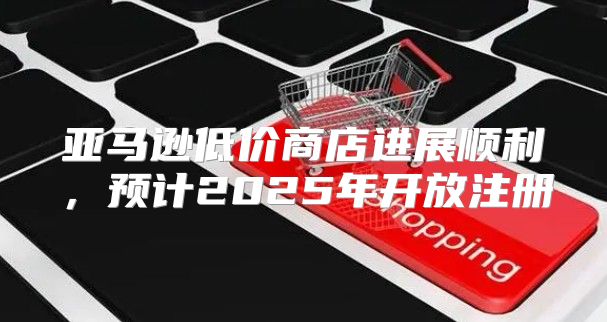 亚马逊低价商店进展顺利，预计2025年开放注册
