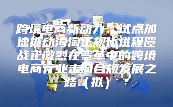 跨境电商新动力：试点加速推动海淘正规化进程鏖战正激烈在变革中的跨境电商行业走向合规发展之路拟