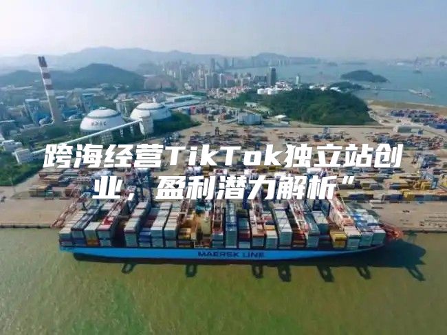 跨海经营TikTok独立站创业，盈利潜力解析”