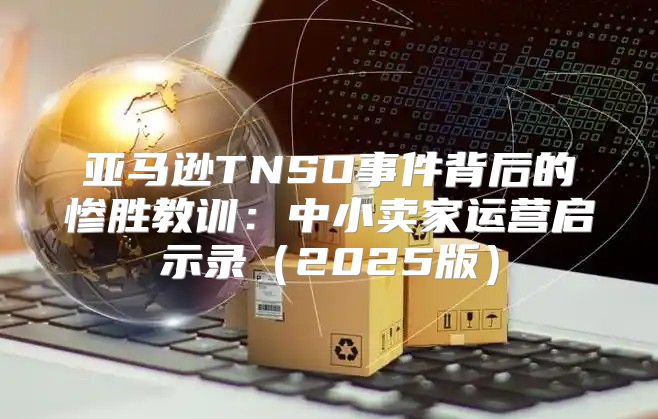 亚马逊TNSO事件背后的惨胜教训：中小卖家运营启示录2025版