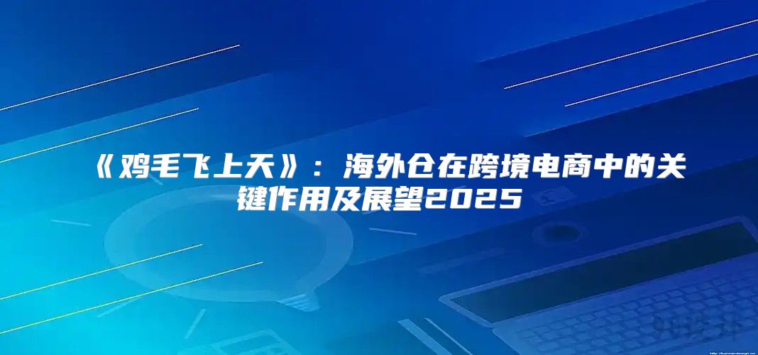 鸡毛飞上天：海外仓在跨境电商中的关键作用及展望2025