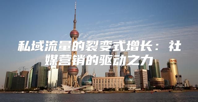 私域流量的裂变式增长：社媒营销的驱动之力