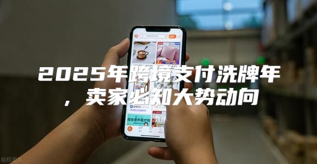 2025年跨境支付洗牌年，卖家必知大势动向
