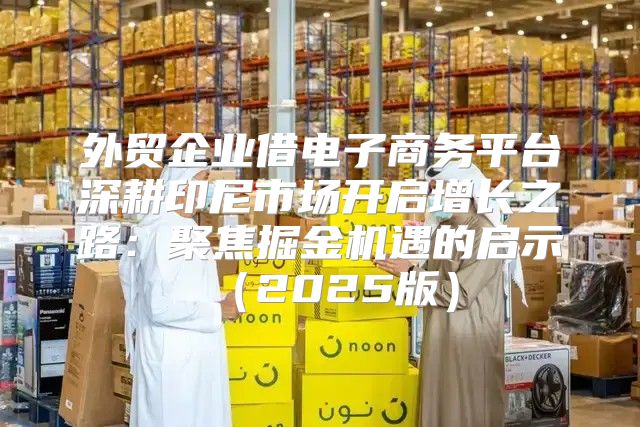 外贸企业借电子商务平台深耕印尼市场开启增长之路：聚焦掘金机遇的启示2025版