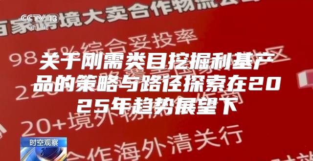 关于刚需类目挖掘利基产品的策略与路径探索在2025年趋势展望下