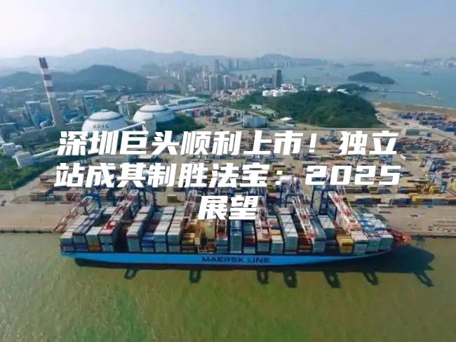 深圳巨头顺利上市！独立站成其制胜法宝：2025展望